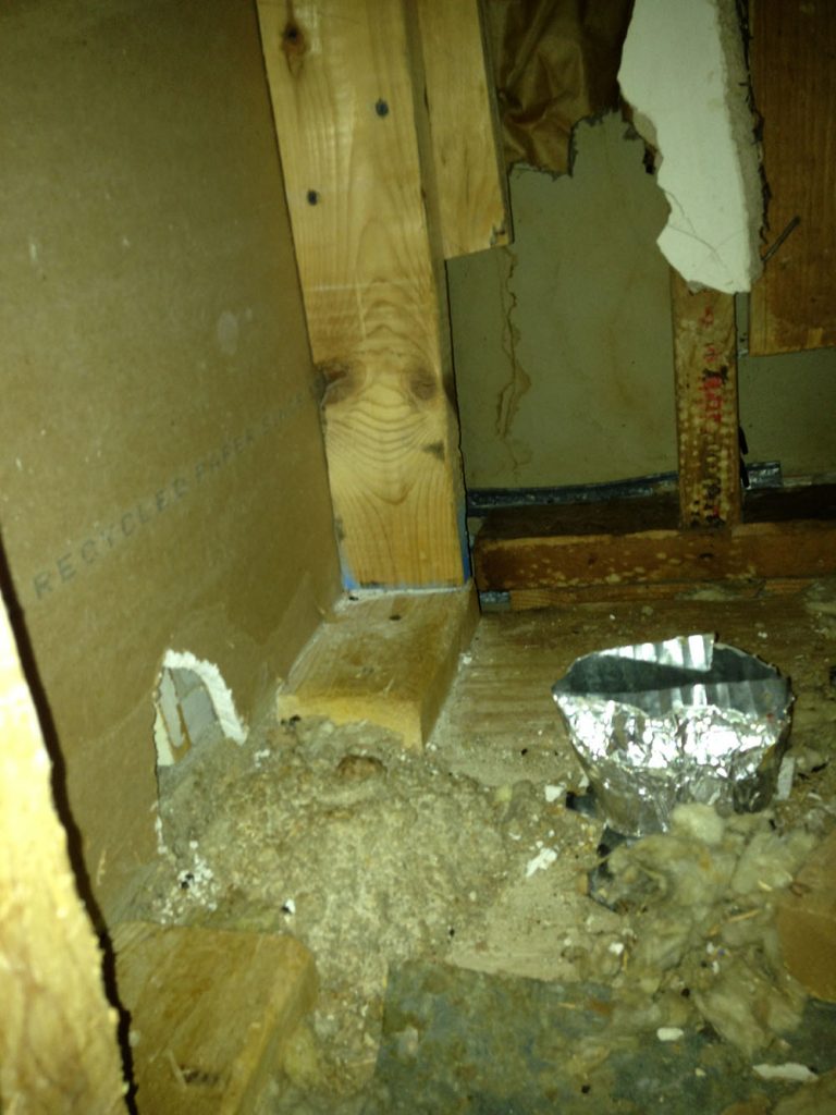 Animals can damage attics and wall interiors, leaving messes we are skilled at cleaning up.
