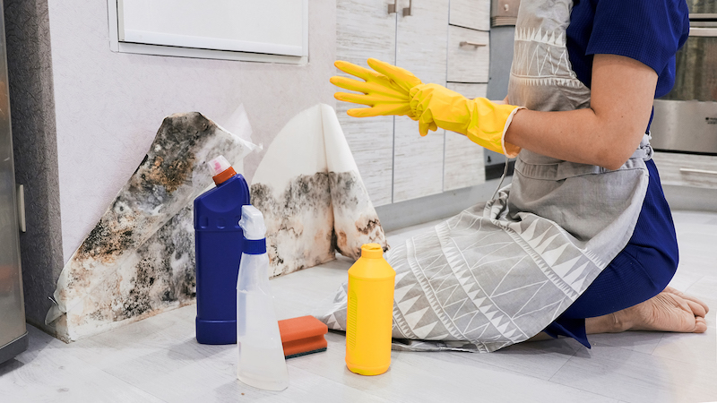 Housekeeper's Hand With Glove Cleaning Mold From Wall